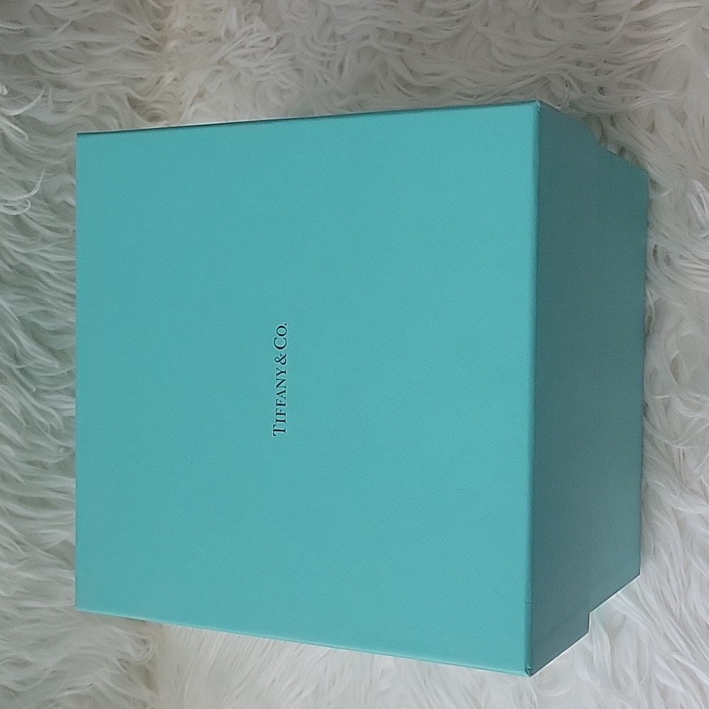 Tiffany and Co. Large box with paper and bow.